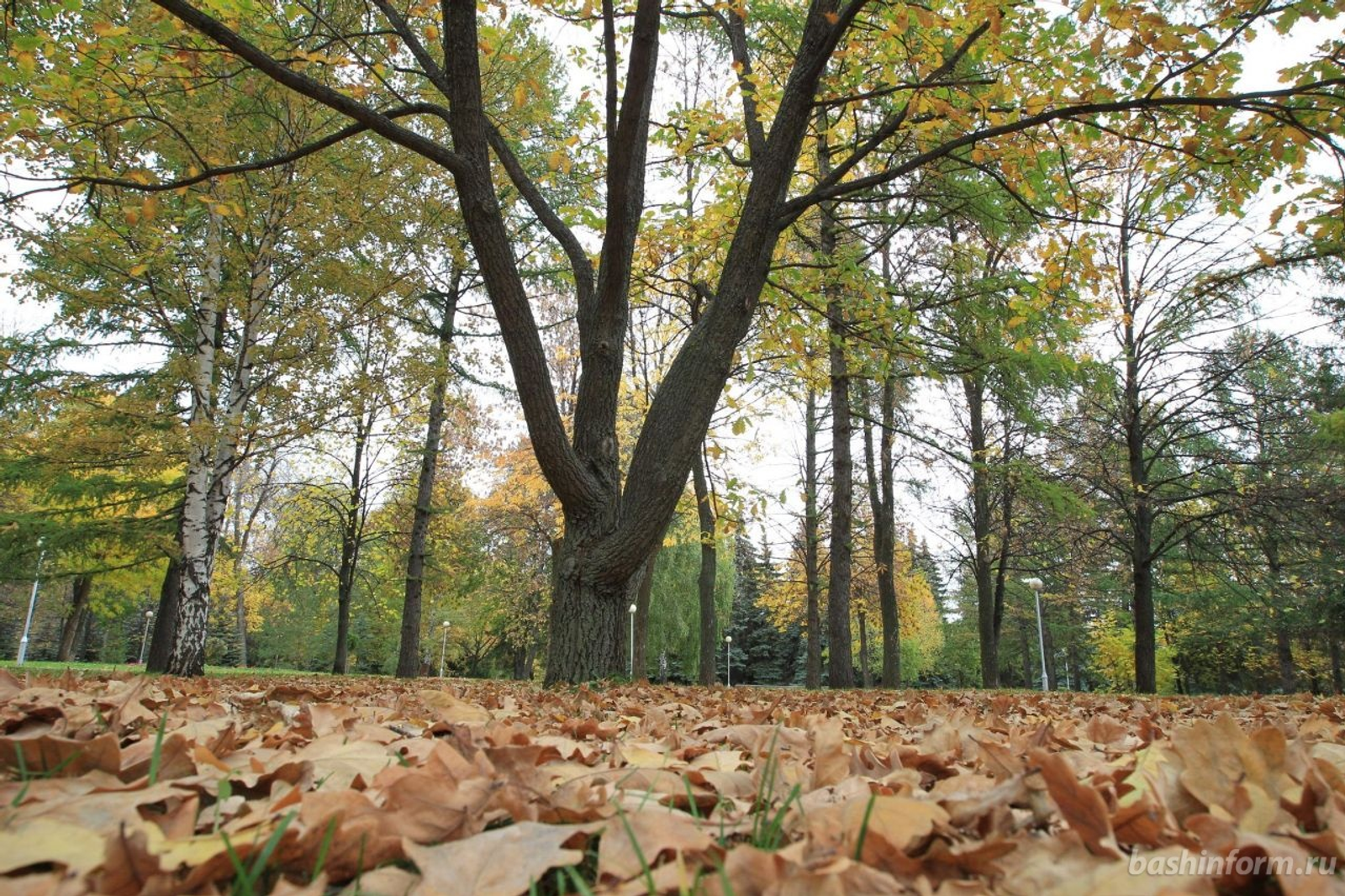 Олег Яровиков