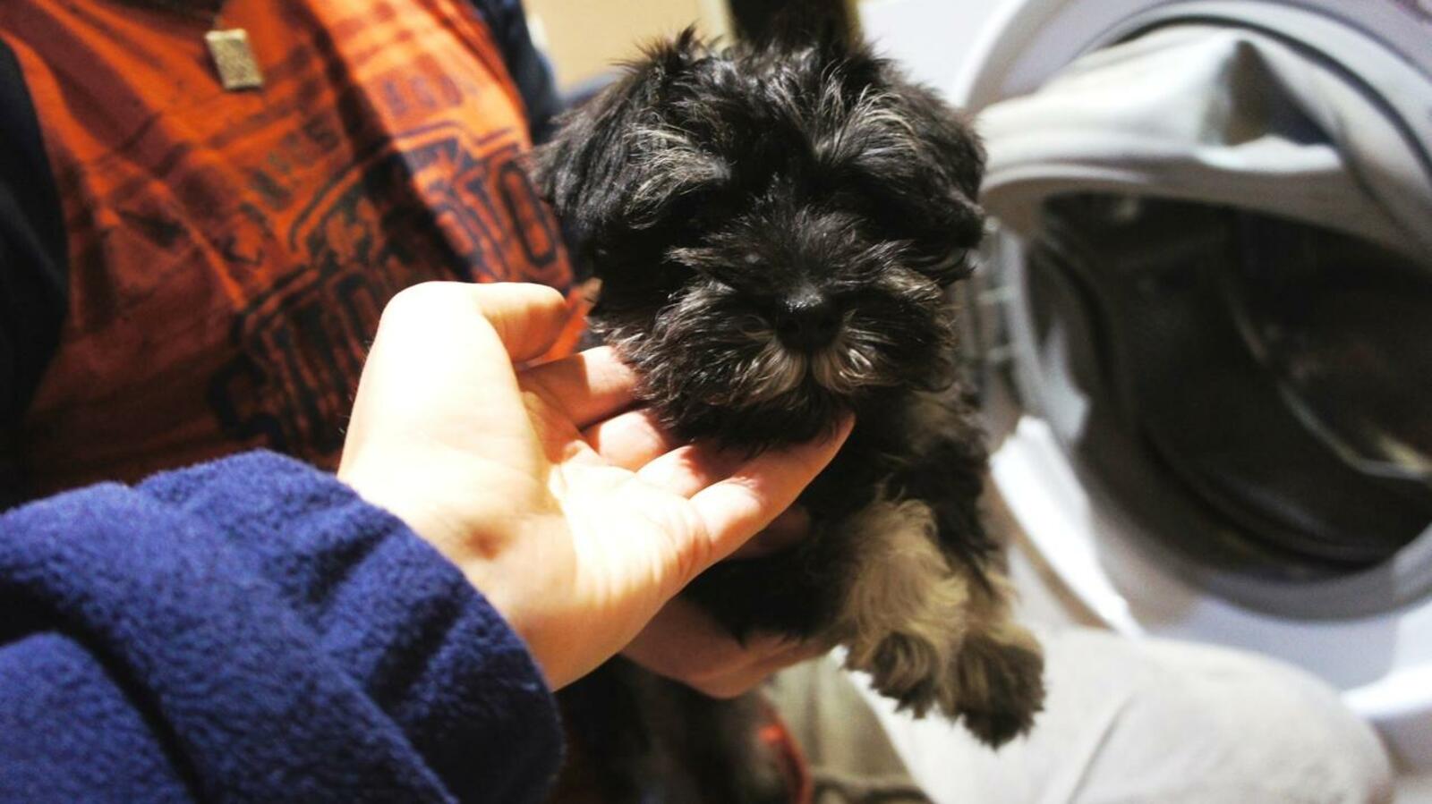 пресс-служба УГЗ по Уфе