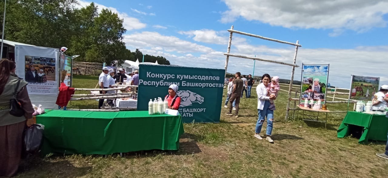 На фестивале, посвященном башкирской лошади прошла ярмарка-выставка кумысоделов