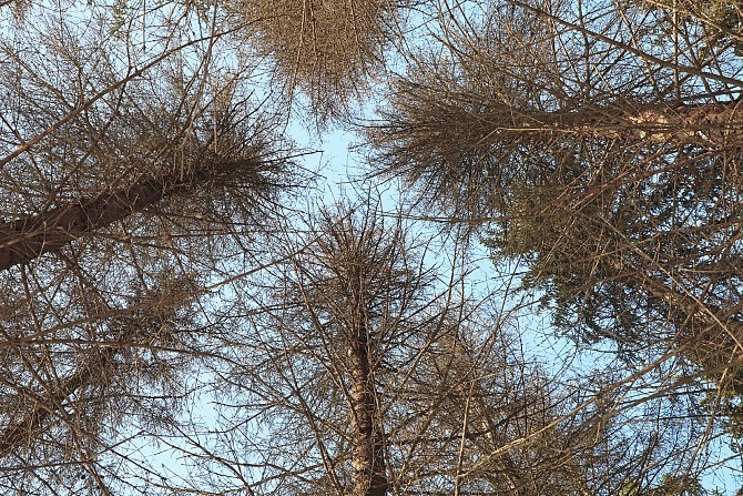 Пресс-служба Администрация г. Уфы