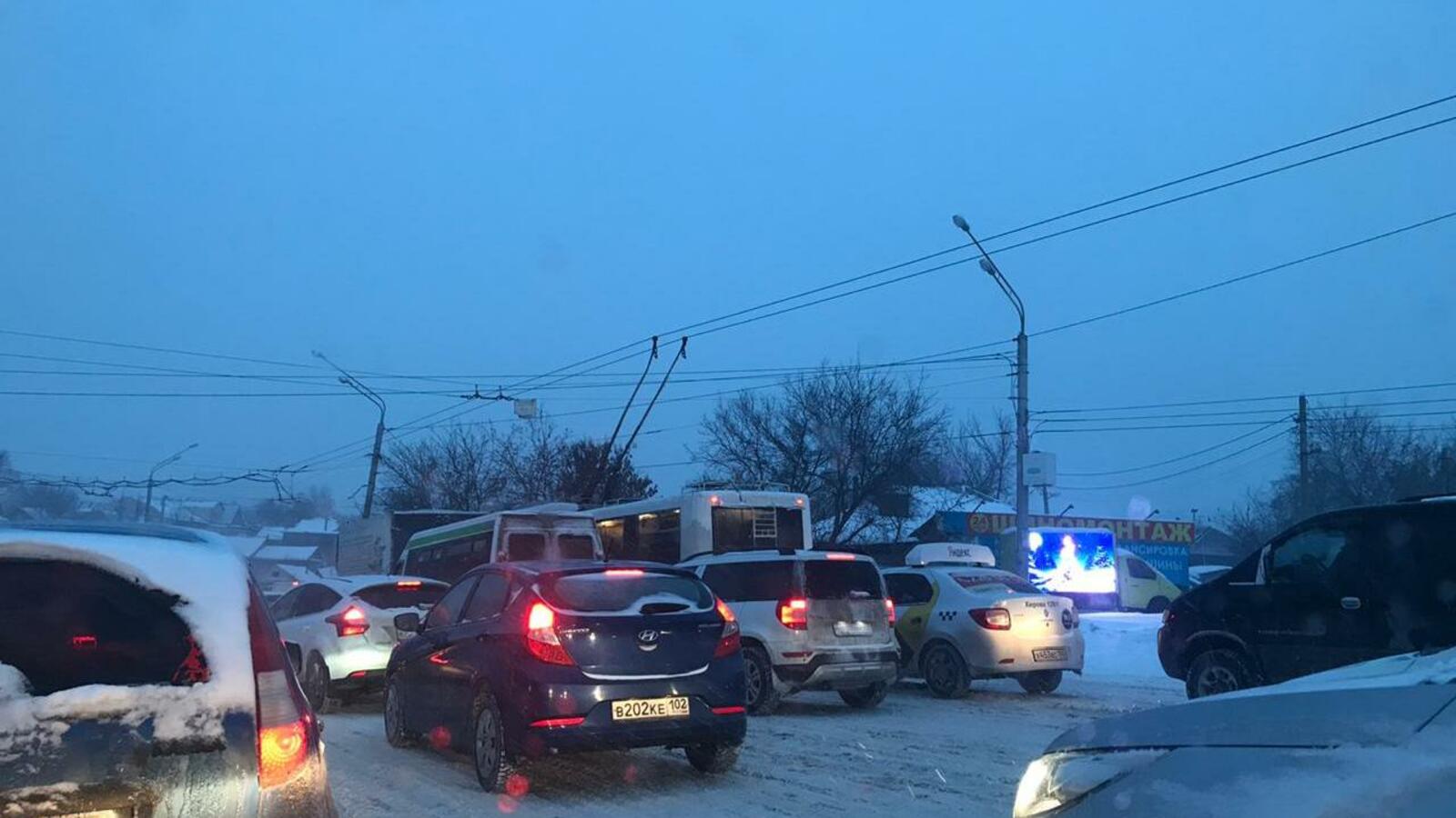 Ксения Калинина