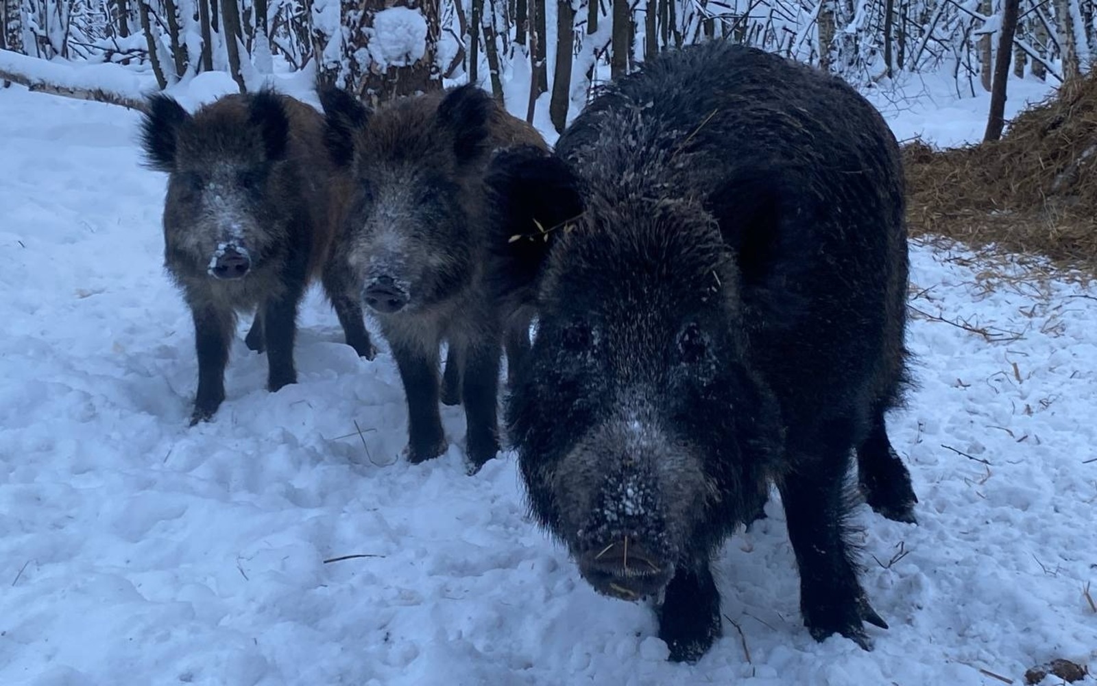Пресс-служба Минэкологии РБ