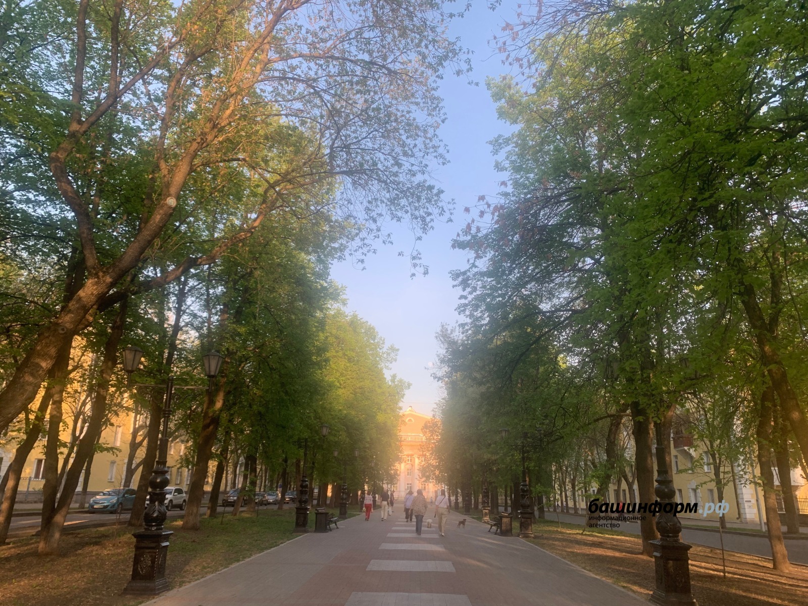 Галина Бахшиева