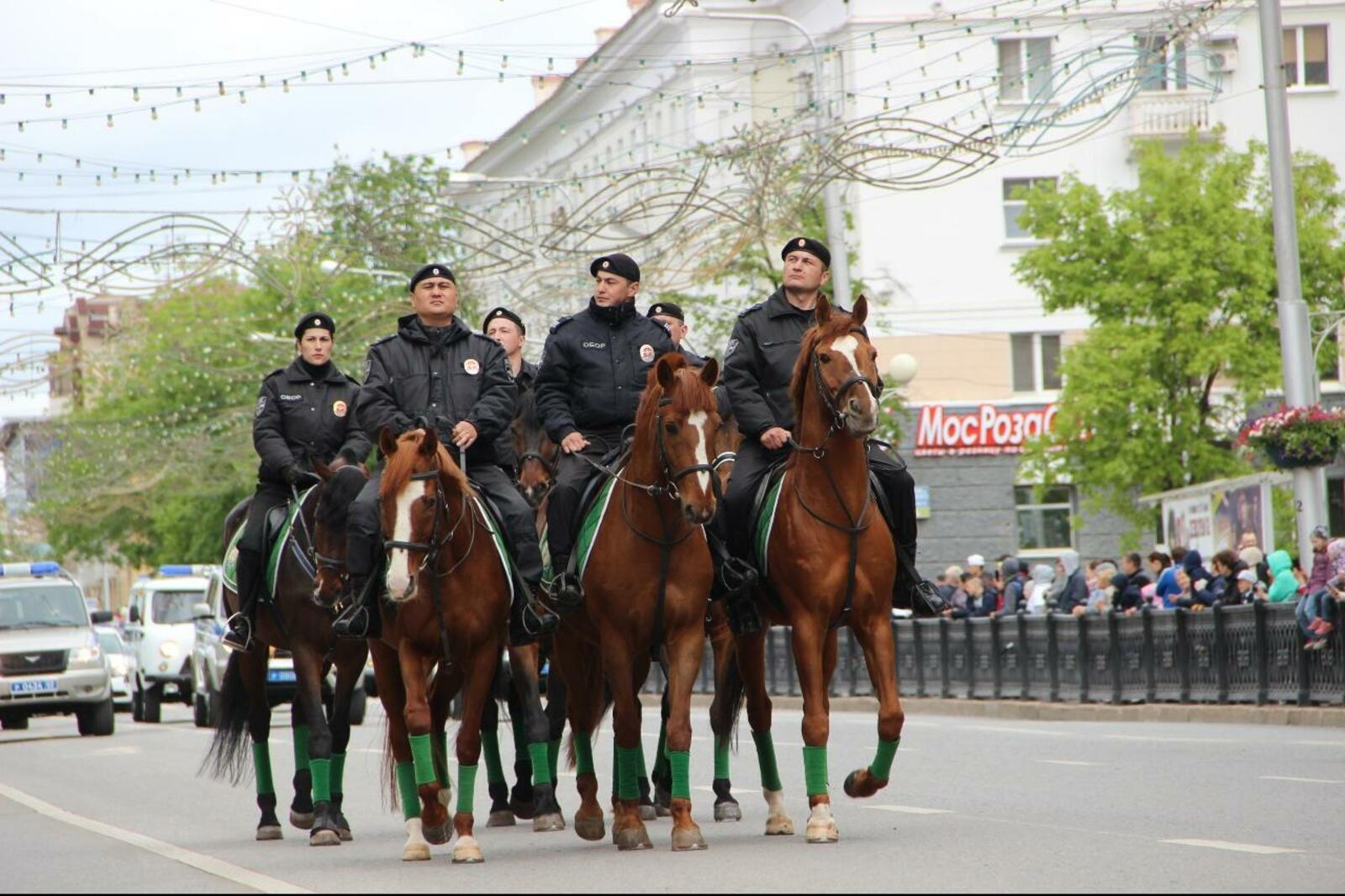Ксения Калинина
