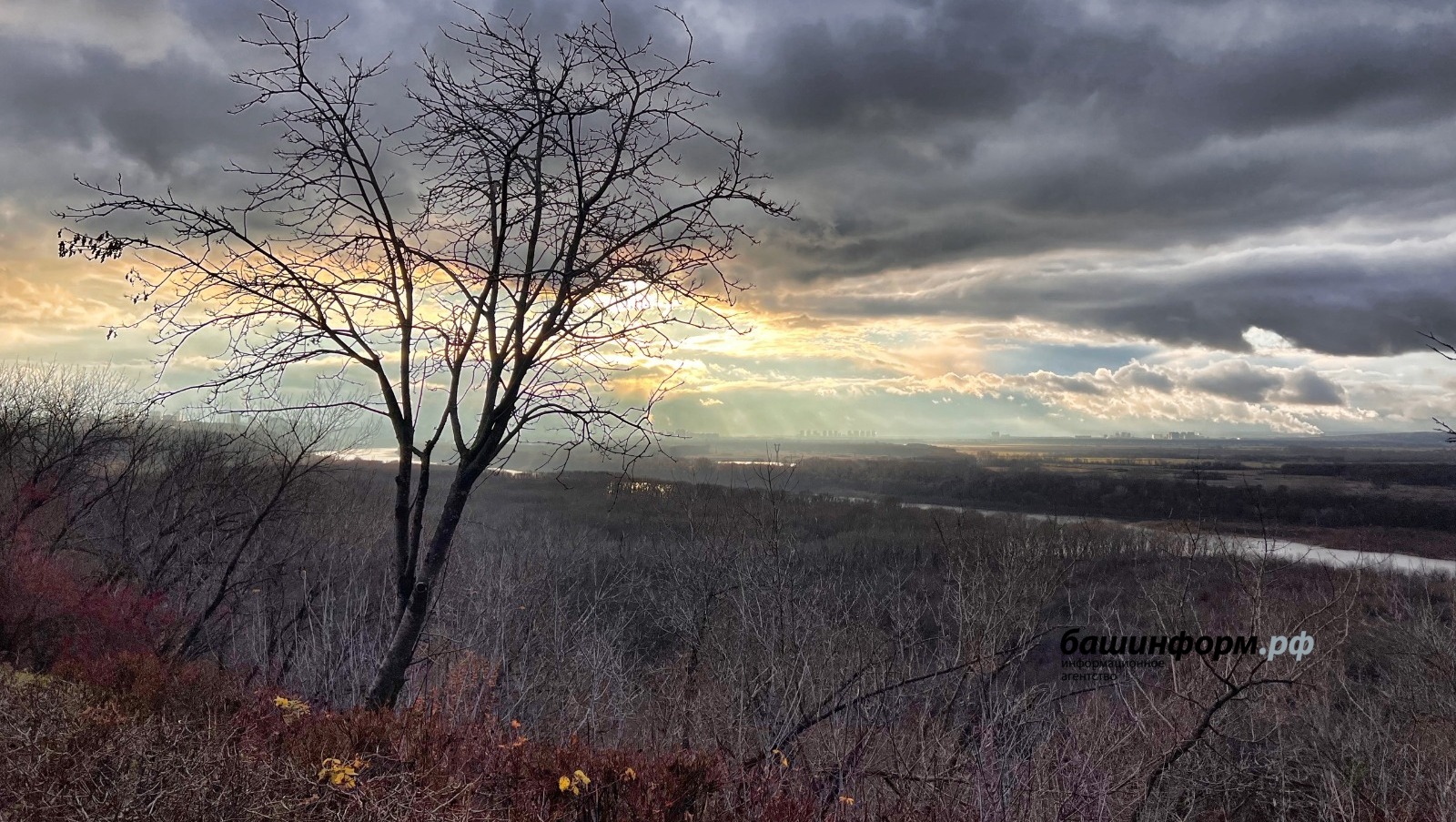 Ксения Калинина ИА «Башинформ»