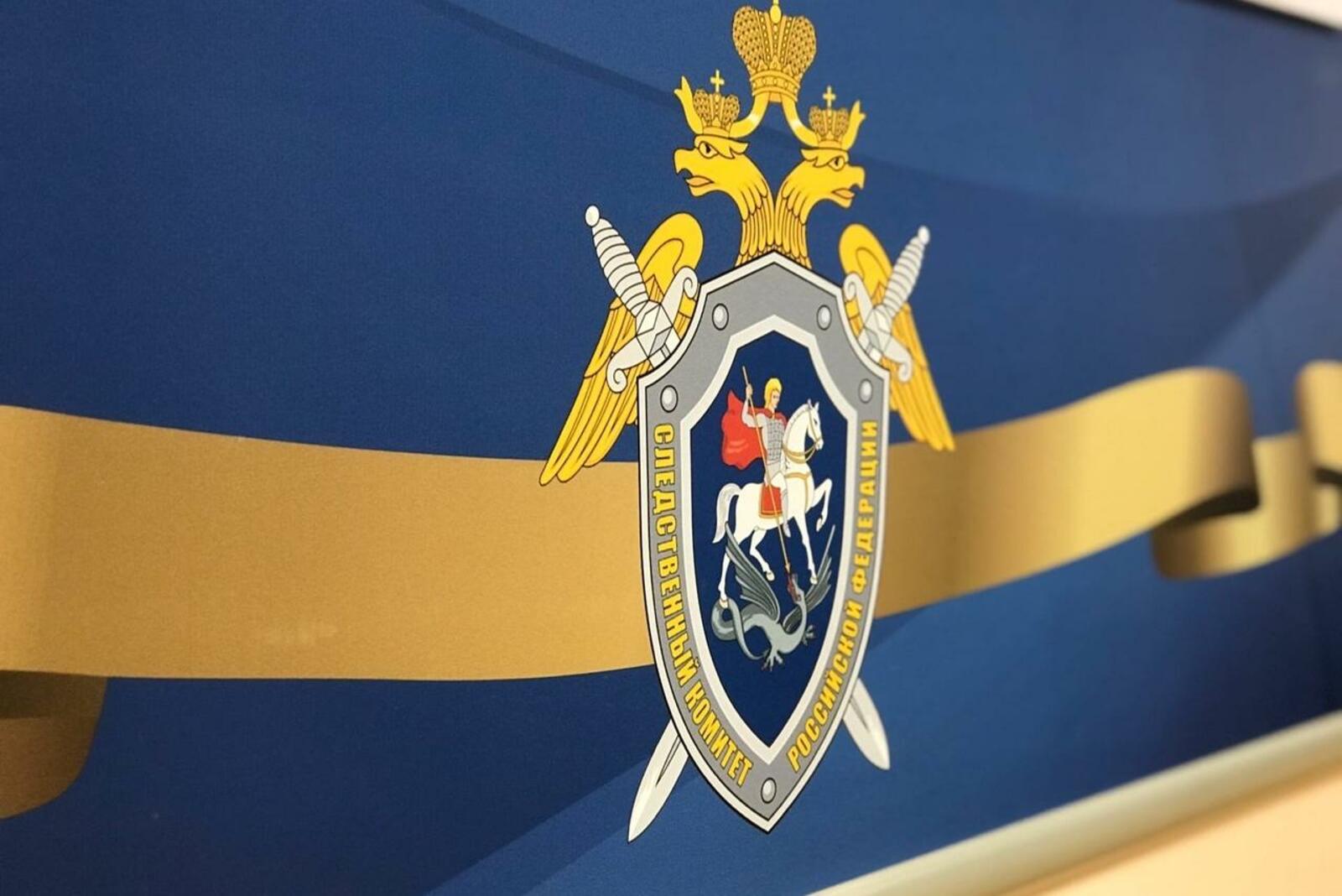 Ксения Калинина