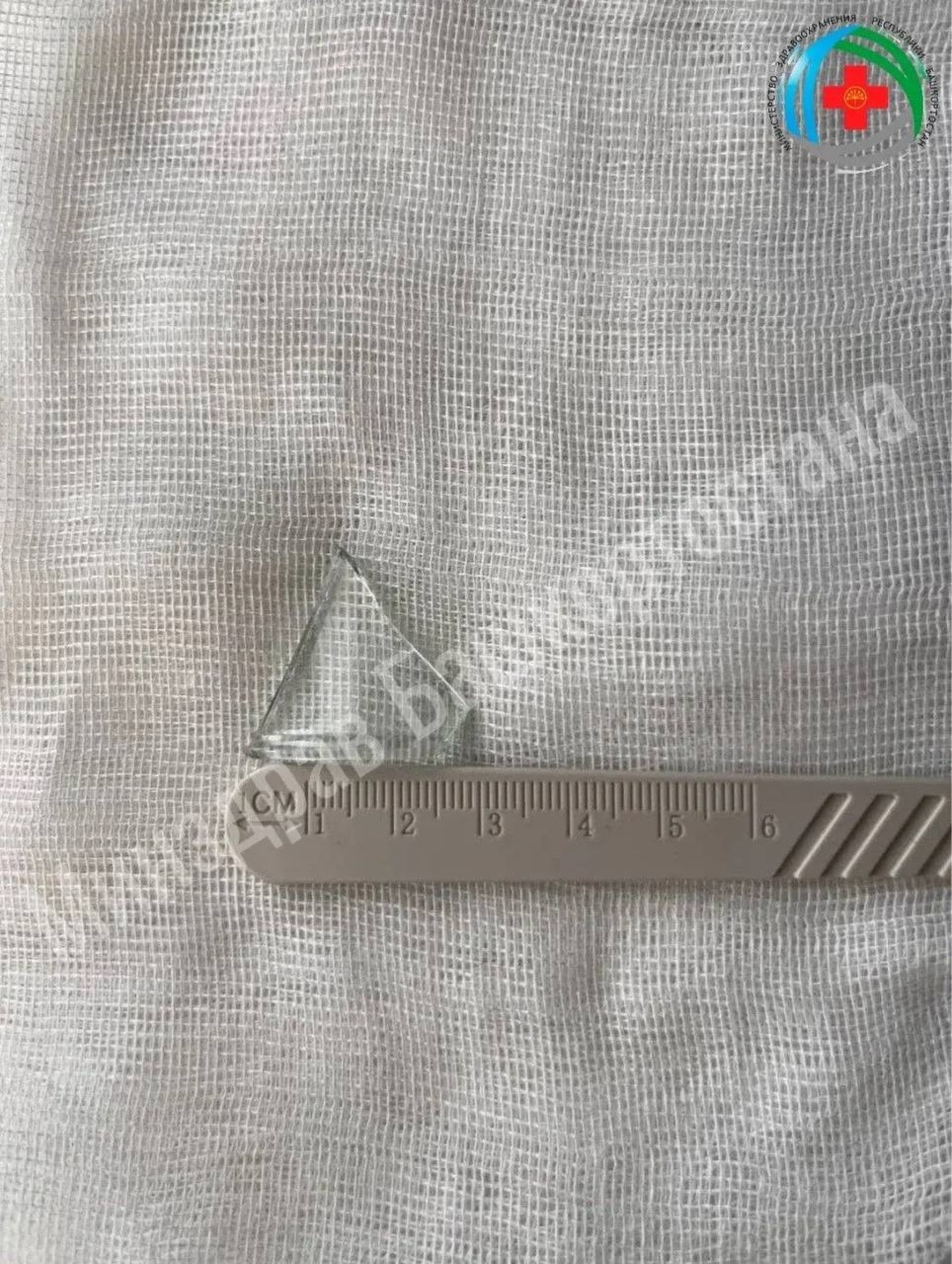 МЗ РБ телеграм