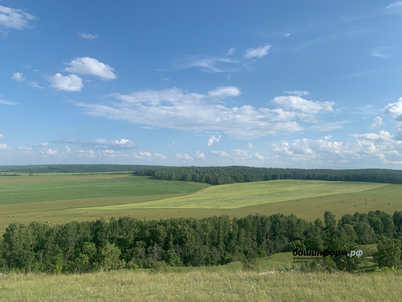 Галина Бахшиева