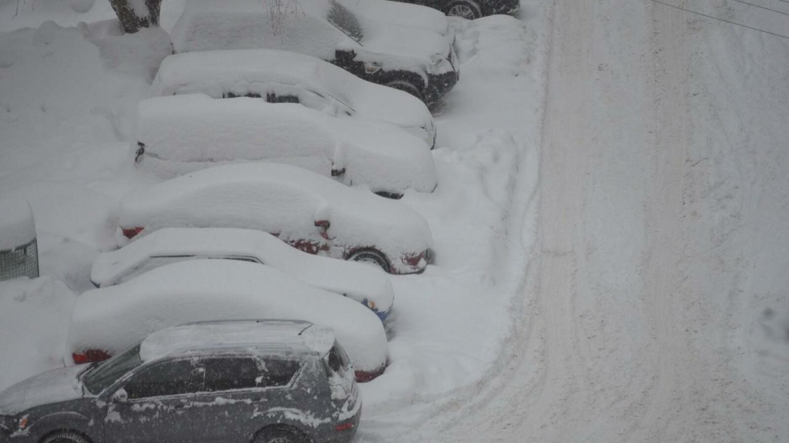 Ксения Калинина