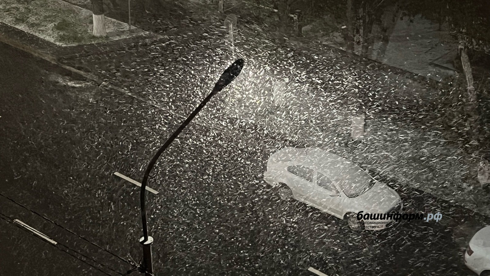 Ксения Калинина  ИА Башинформ