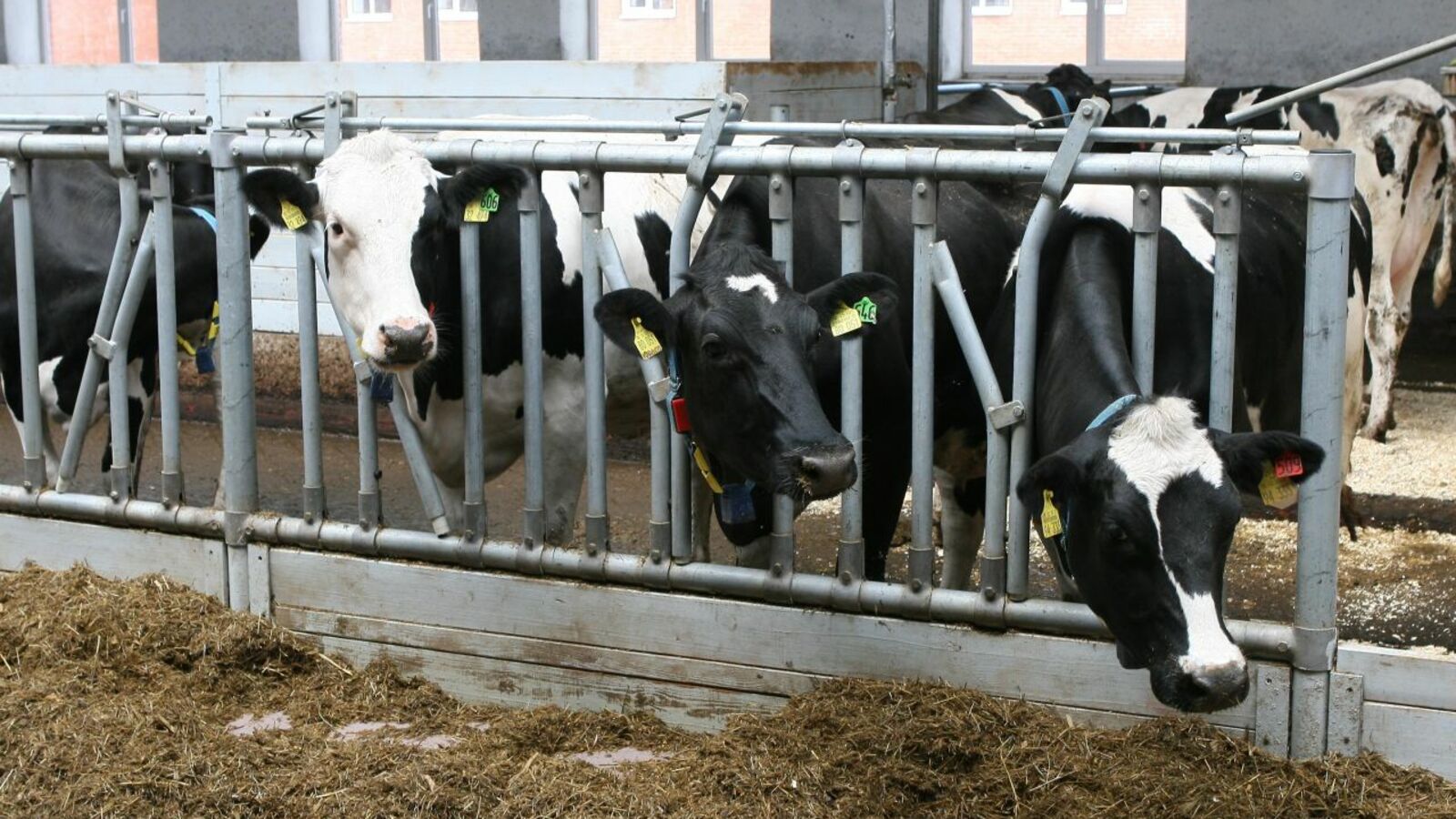 Олег Яровиков