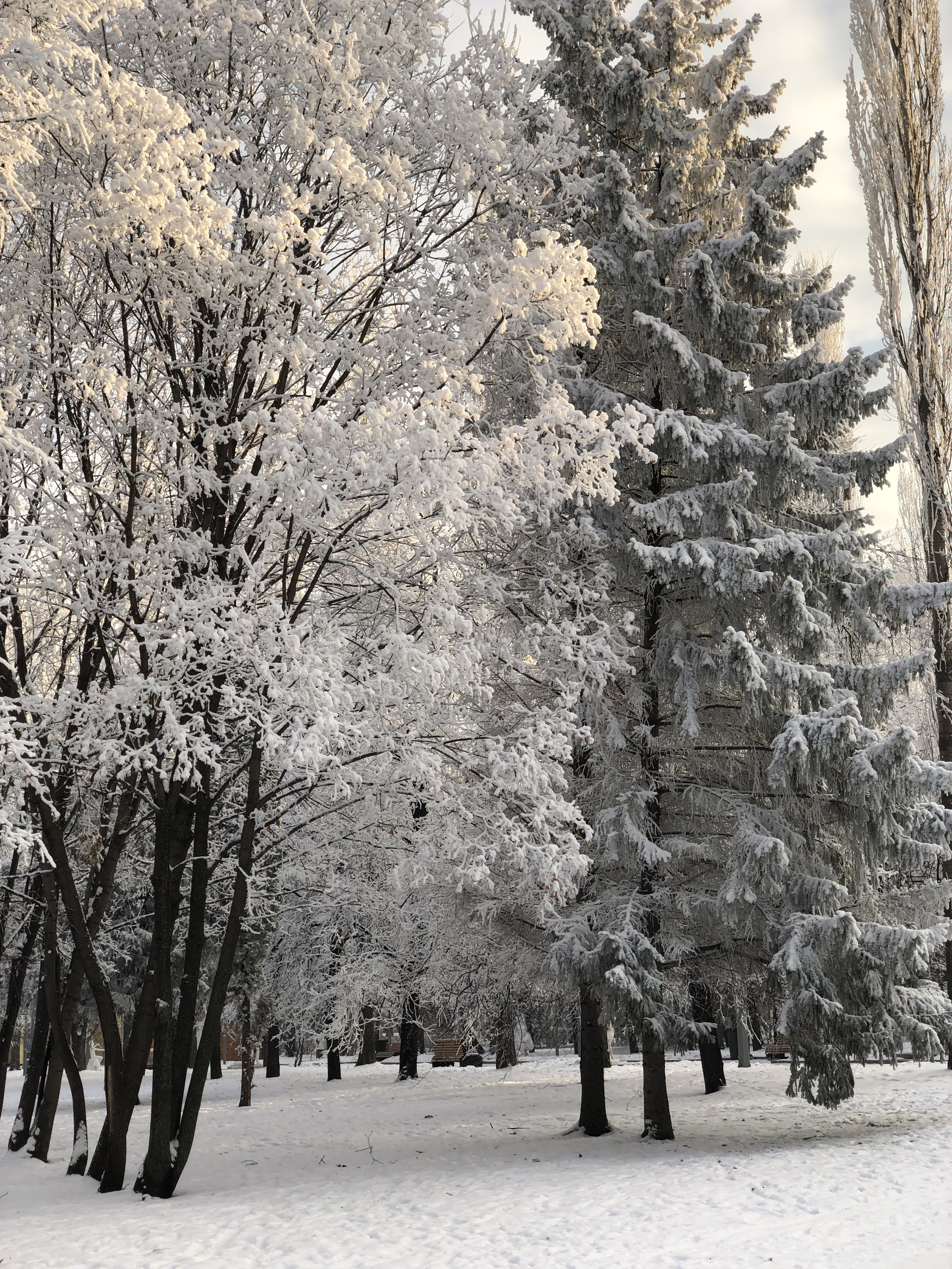 В Башкирии ожидается похолодание до -30