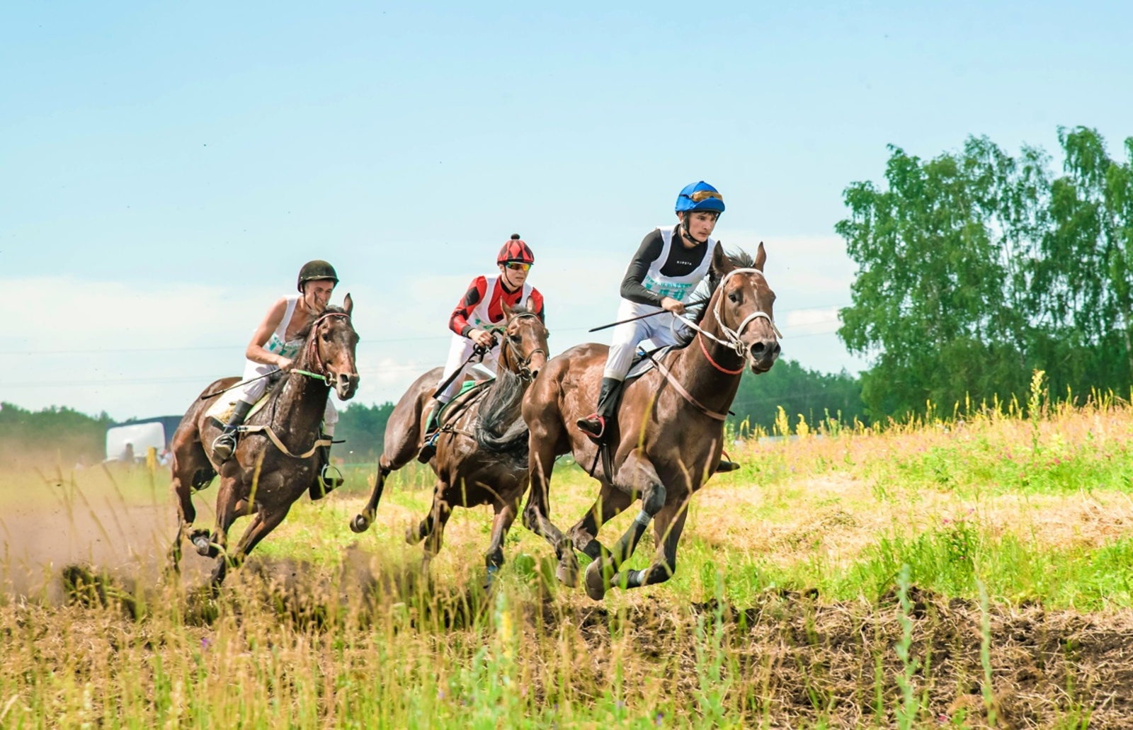 В Баймаке проходит фестиваль лошадей башкирской породы
