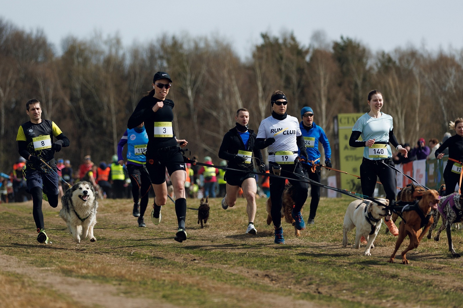 get.run Забег "Быстрый пёс", Москва