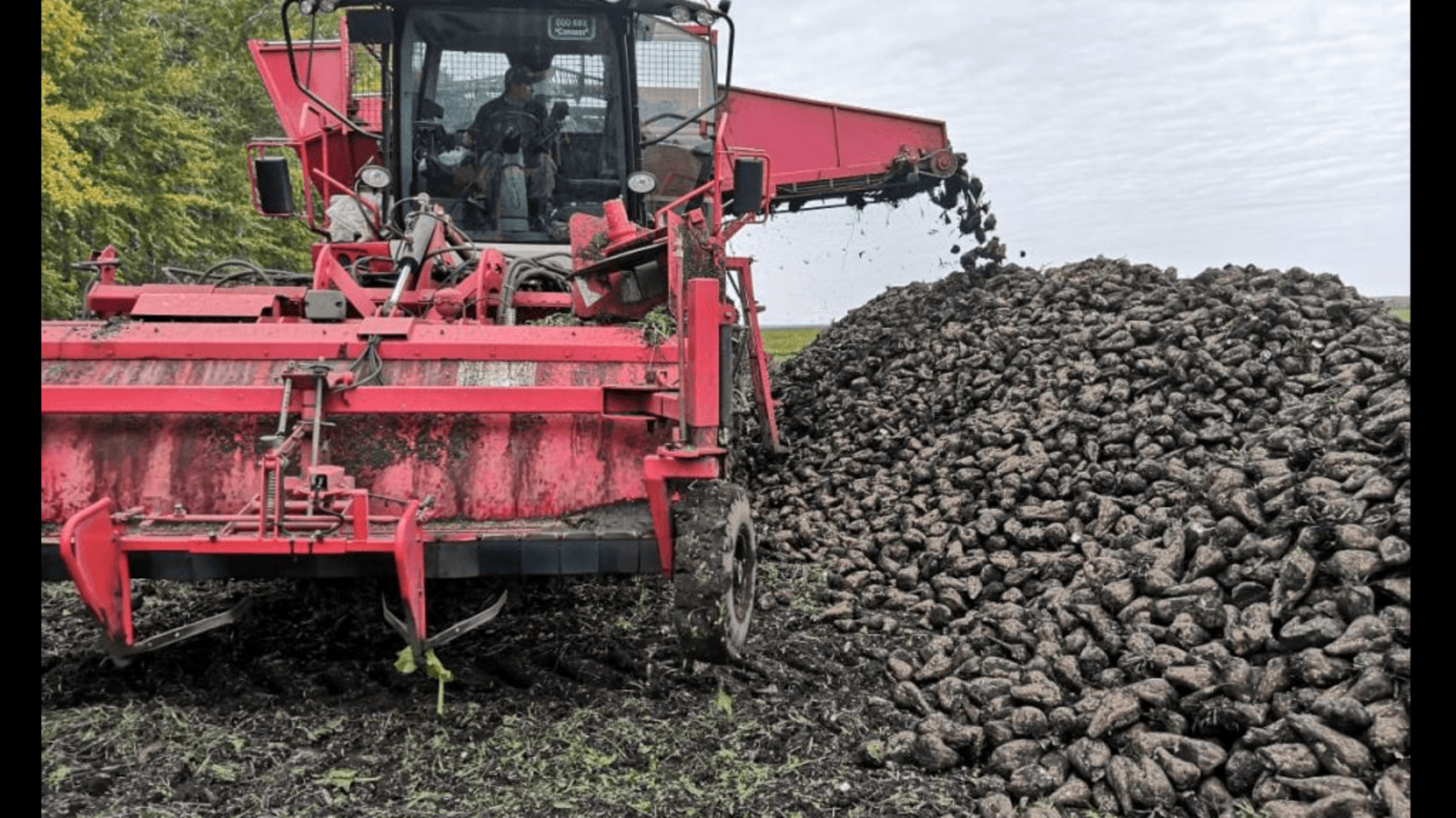 пресс - служба Минсельхоза Башкирии