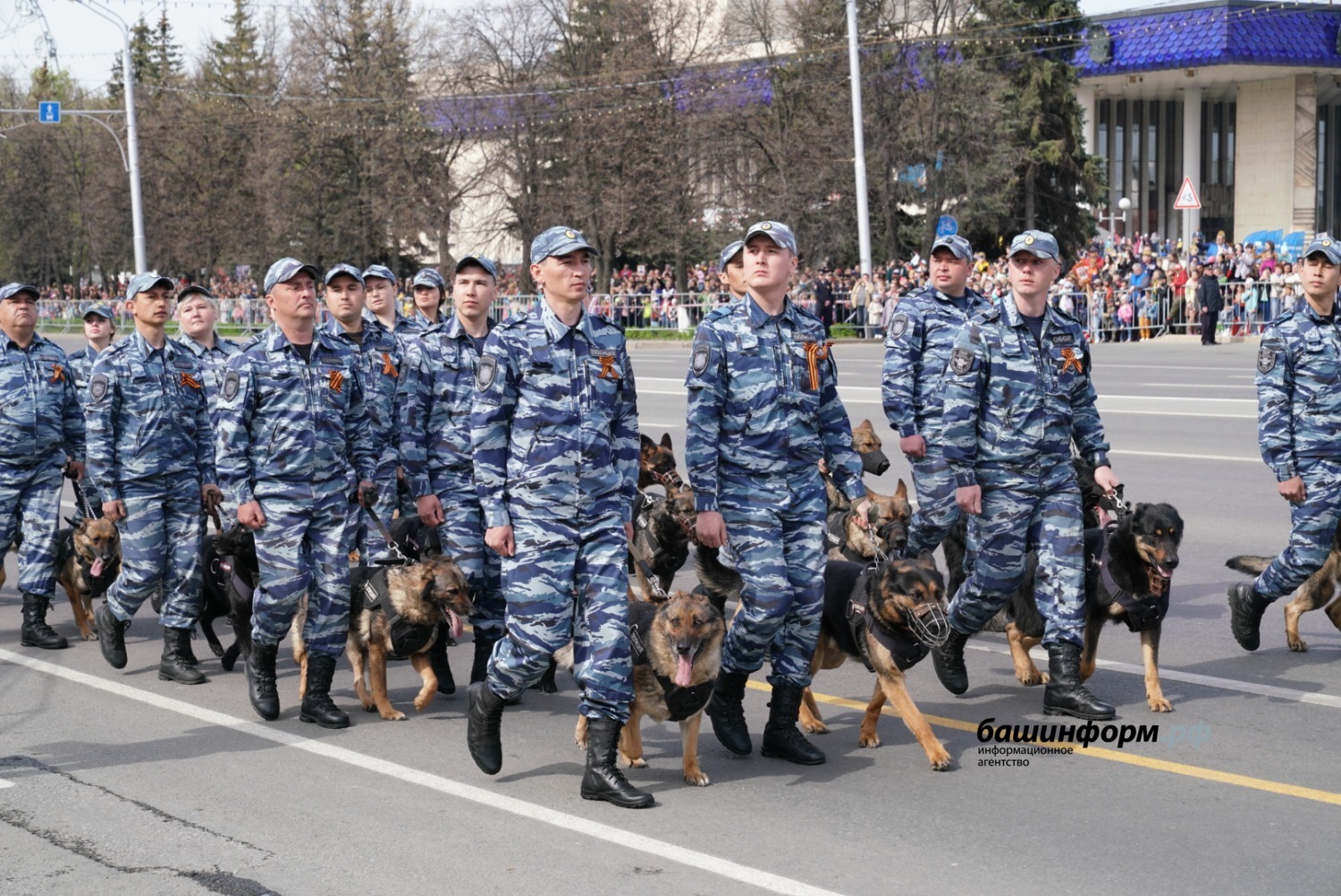 Олег Яровиков