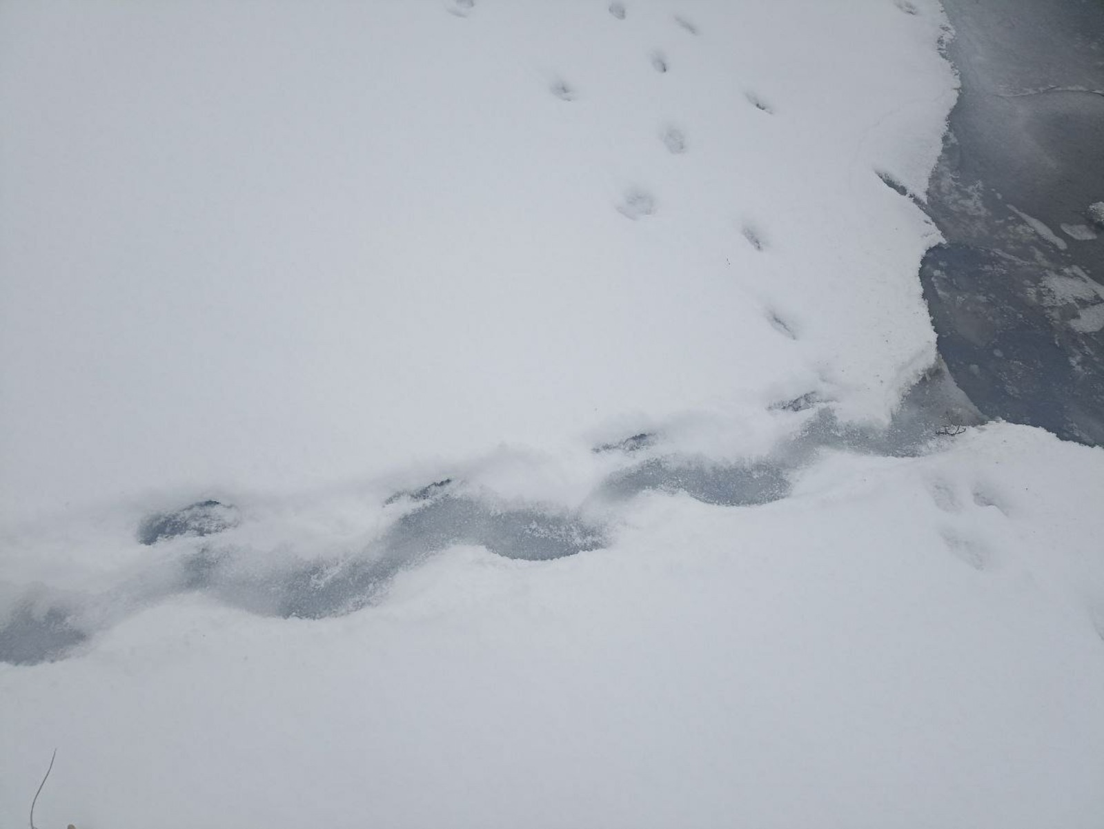 телеграм-канал нацпарка «Башкирия»