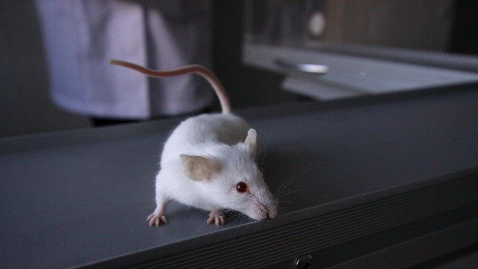 Валерий Шахов архив ИА «Башинформ»