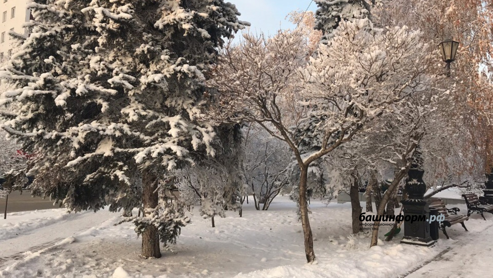 Ксения Калинина