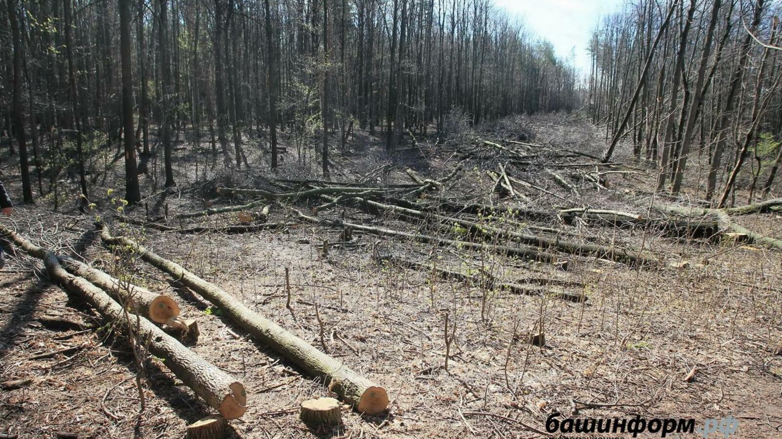 ИА «Башинформ»