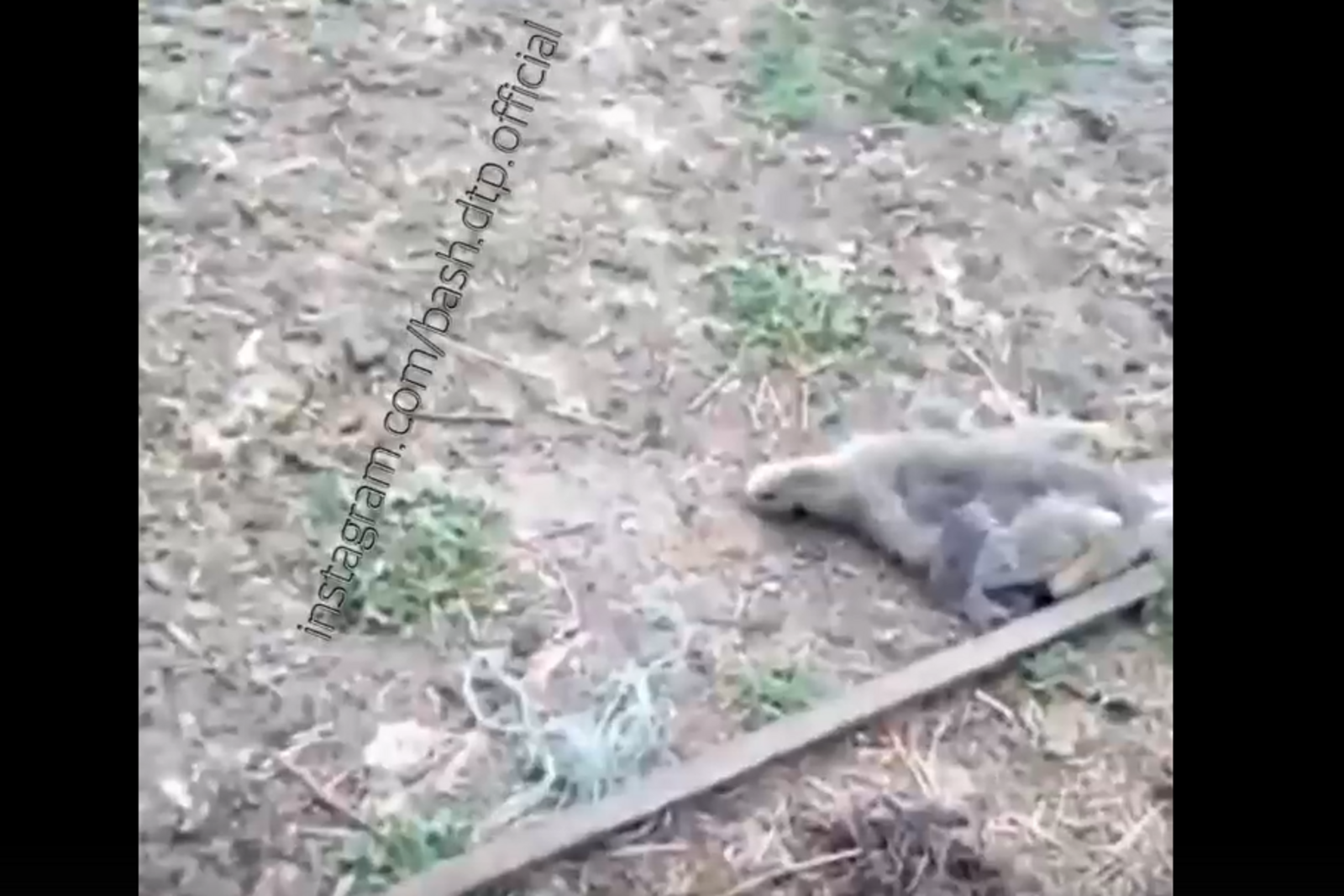 Стоп-кадр БашДТП
