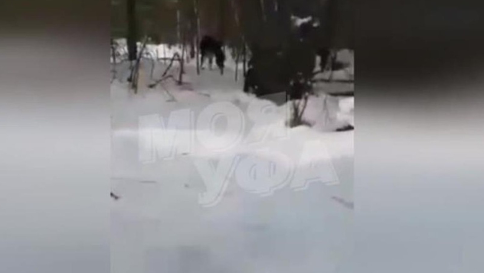 стоп-кадр видео из телеграм-канала «Моя Уфа»