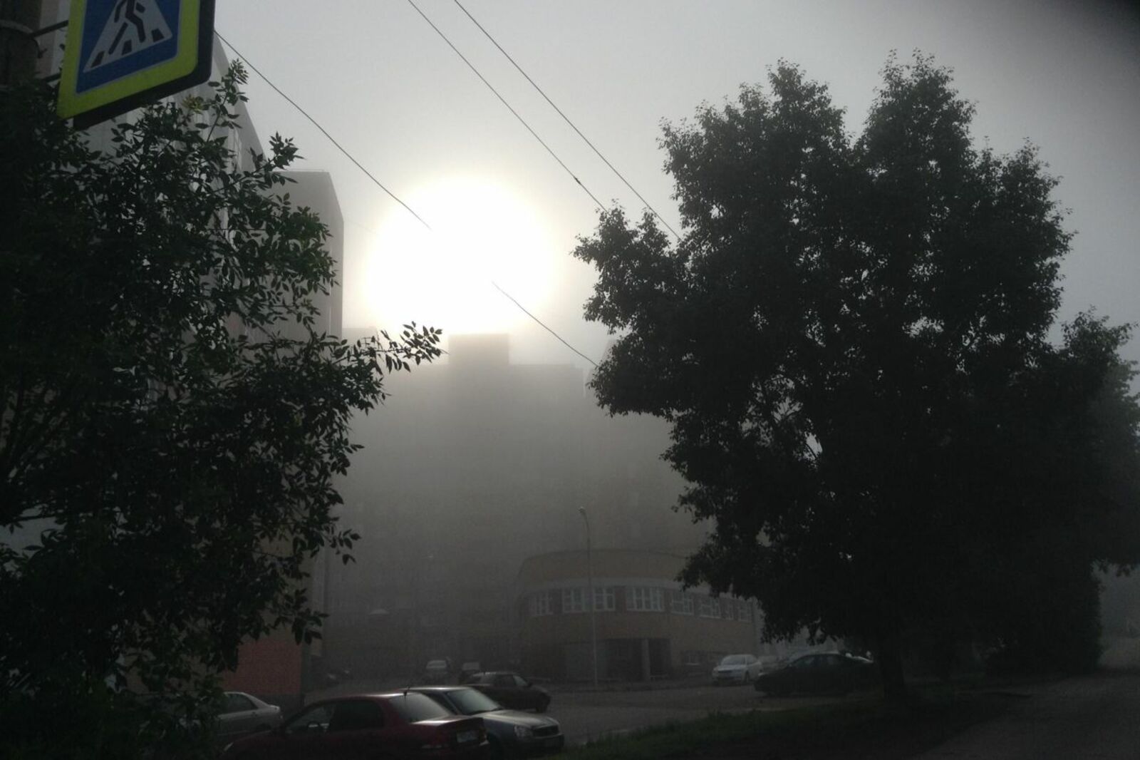 Дмитрий Слезин
