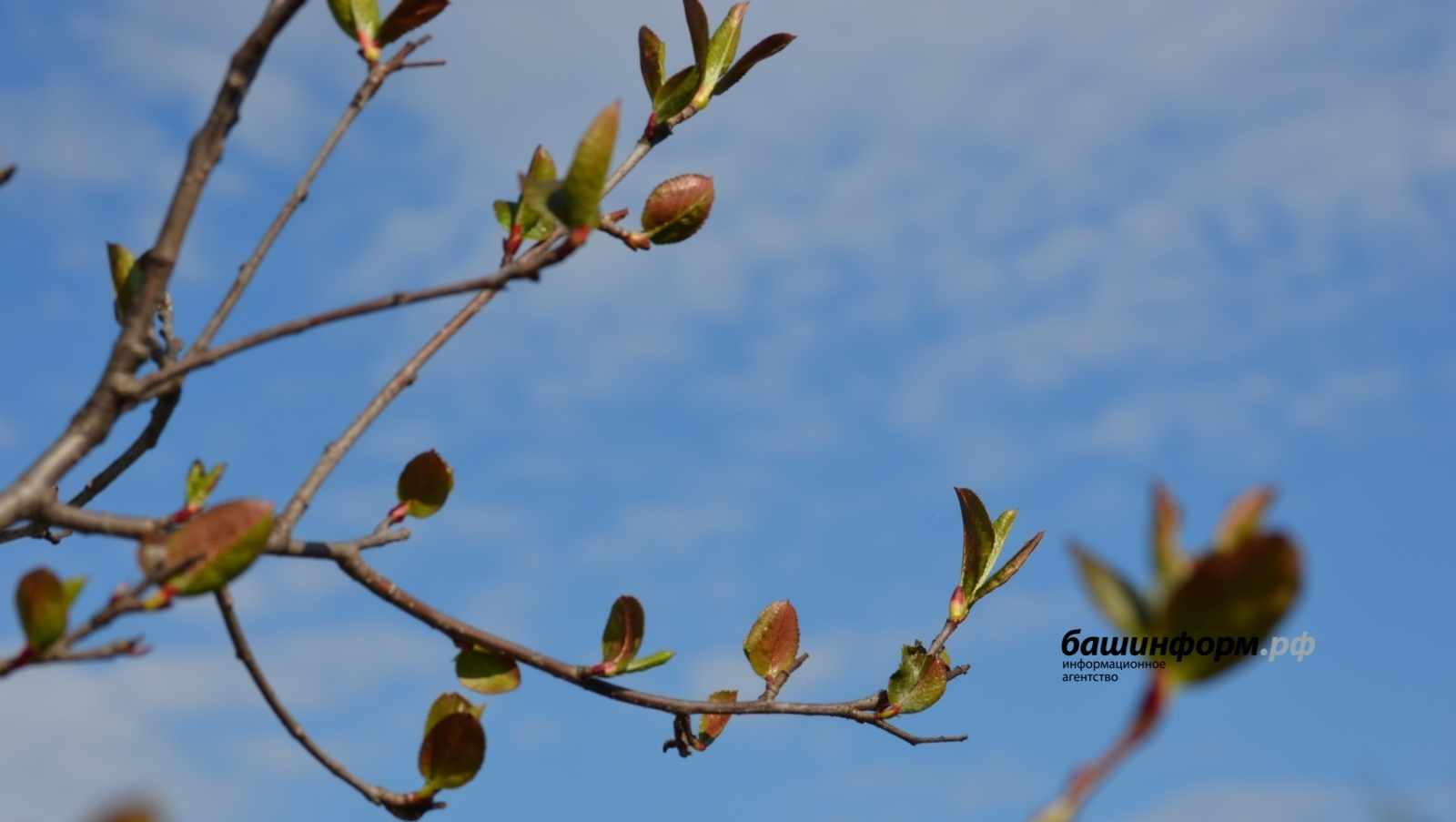 Ксения Калинина