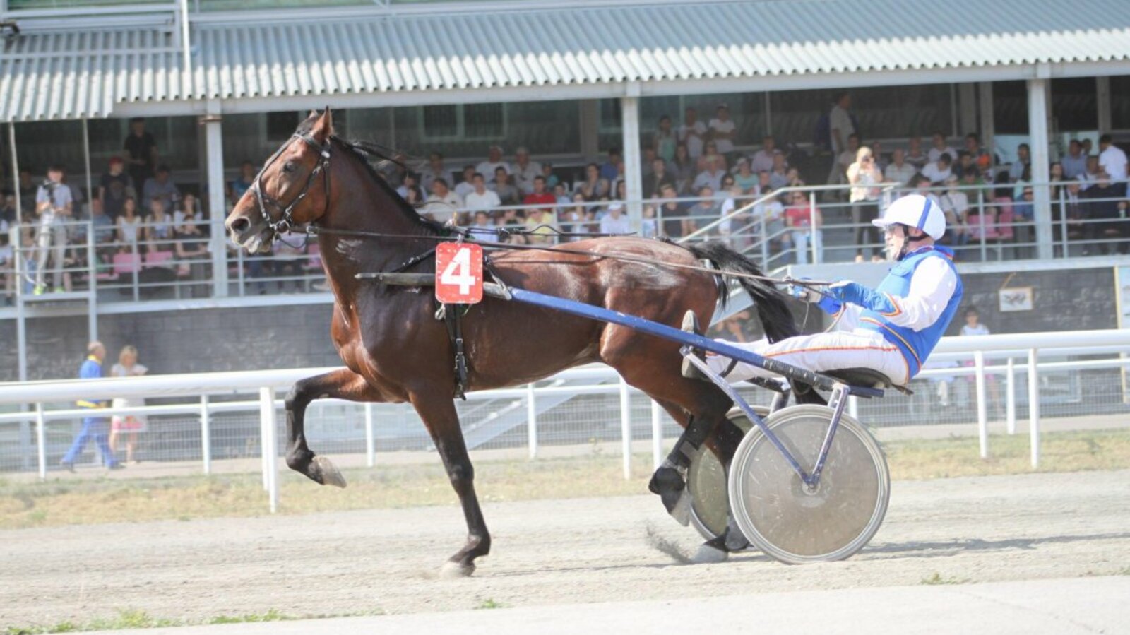 предоставлено ипподром «Акбузат»