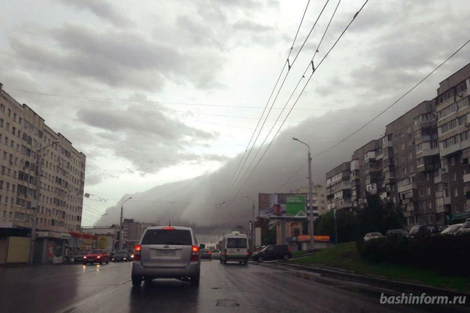 Ксения Калинина