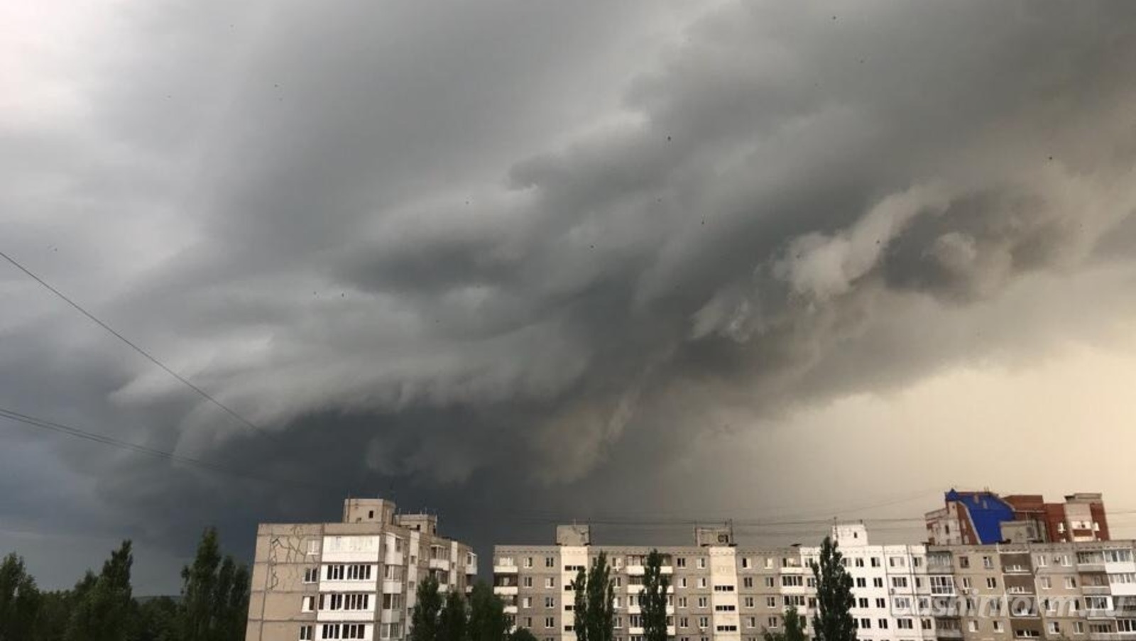 Ксения Калинина