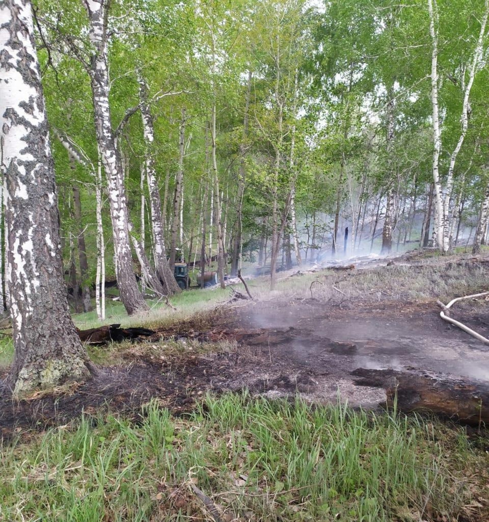 пресс-служба госкомитета РБ по ЧС, архивное фото