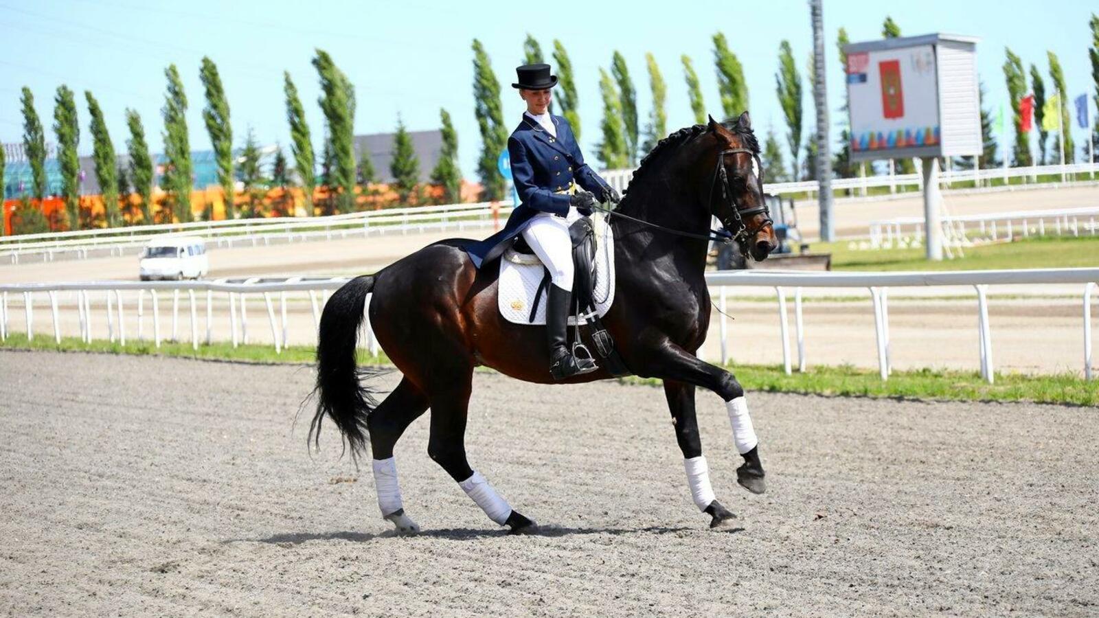 Валерий Шахов