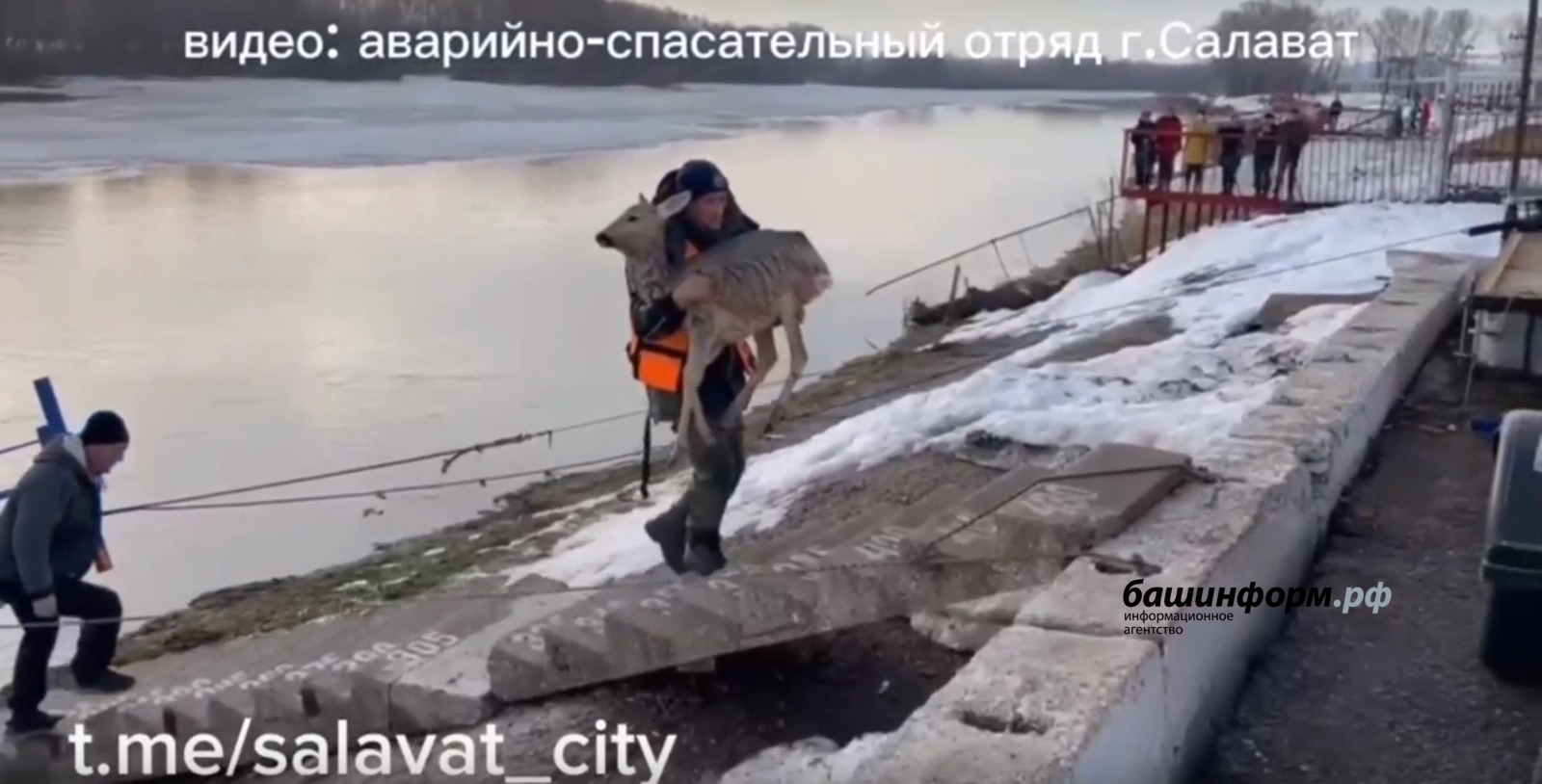 скриншот видео