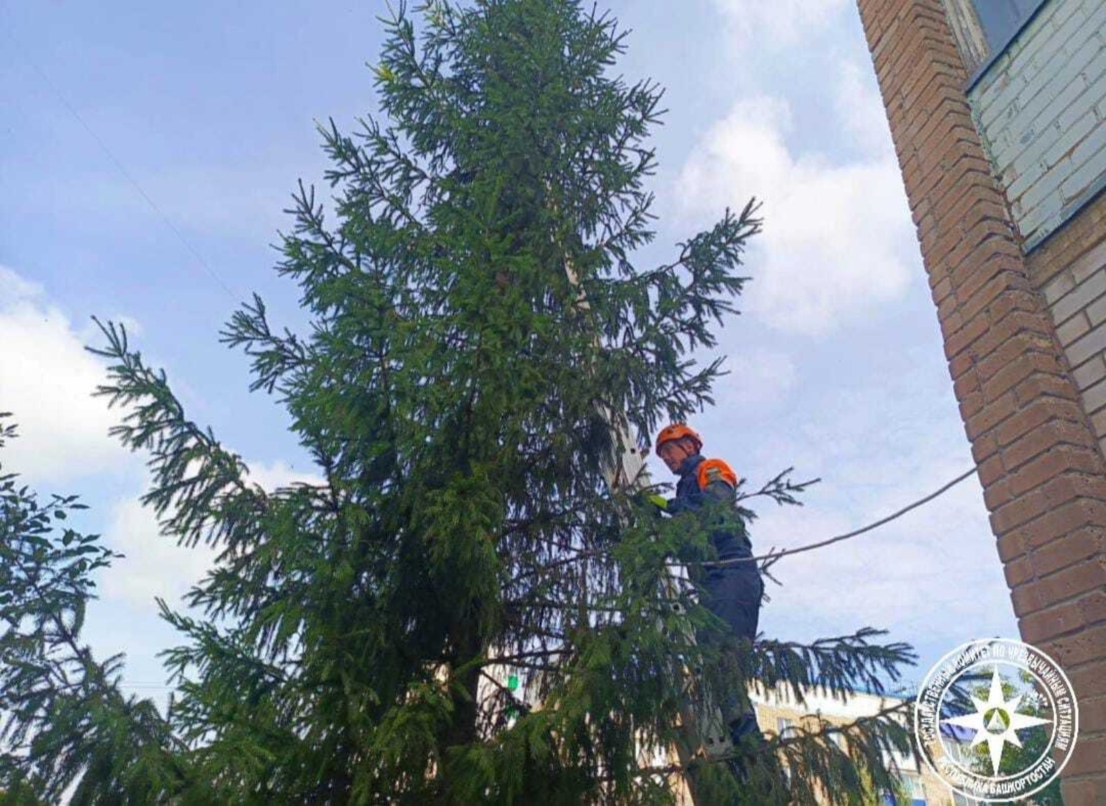госкомитет РБ по ЧС