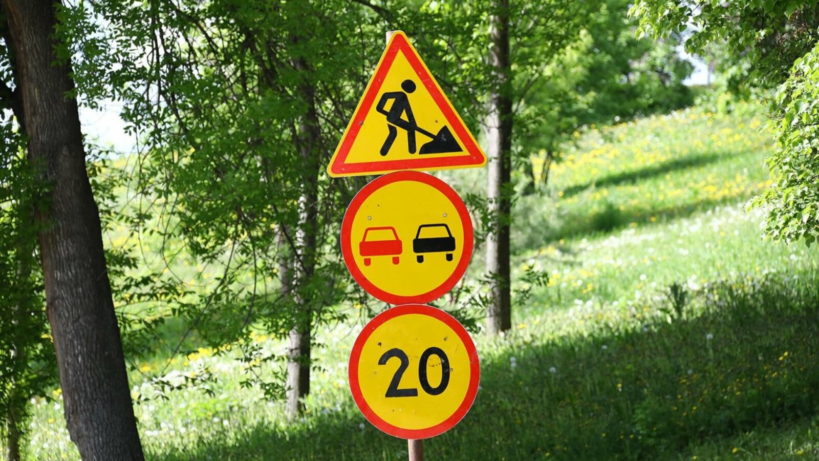 Валерий Шахов