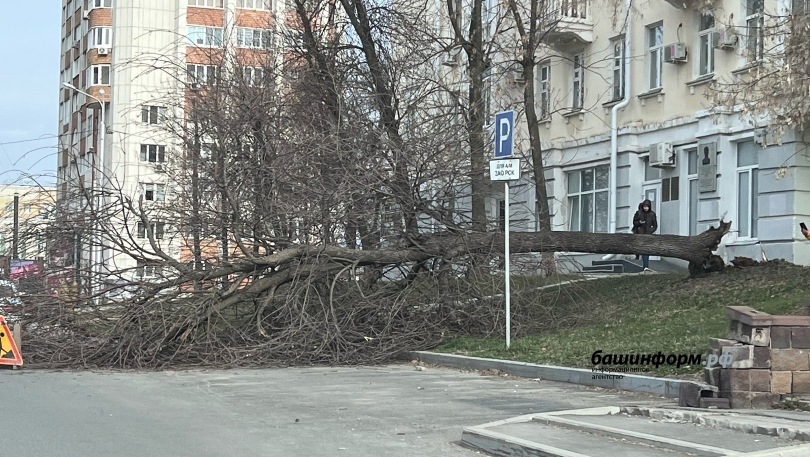 Ксения Калинина, архив