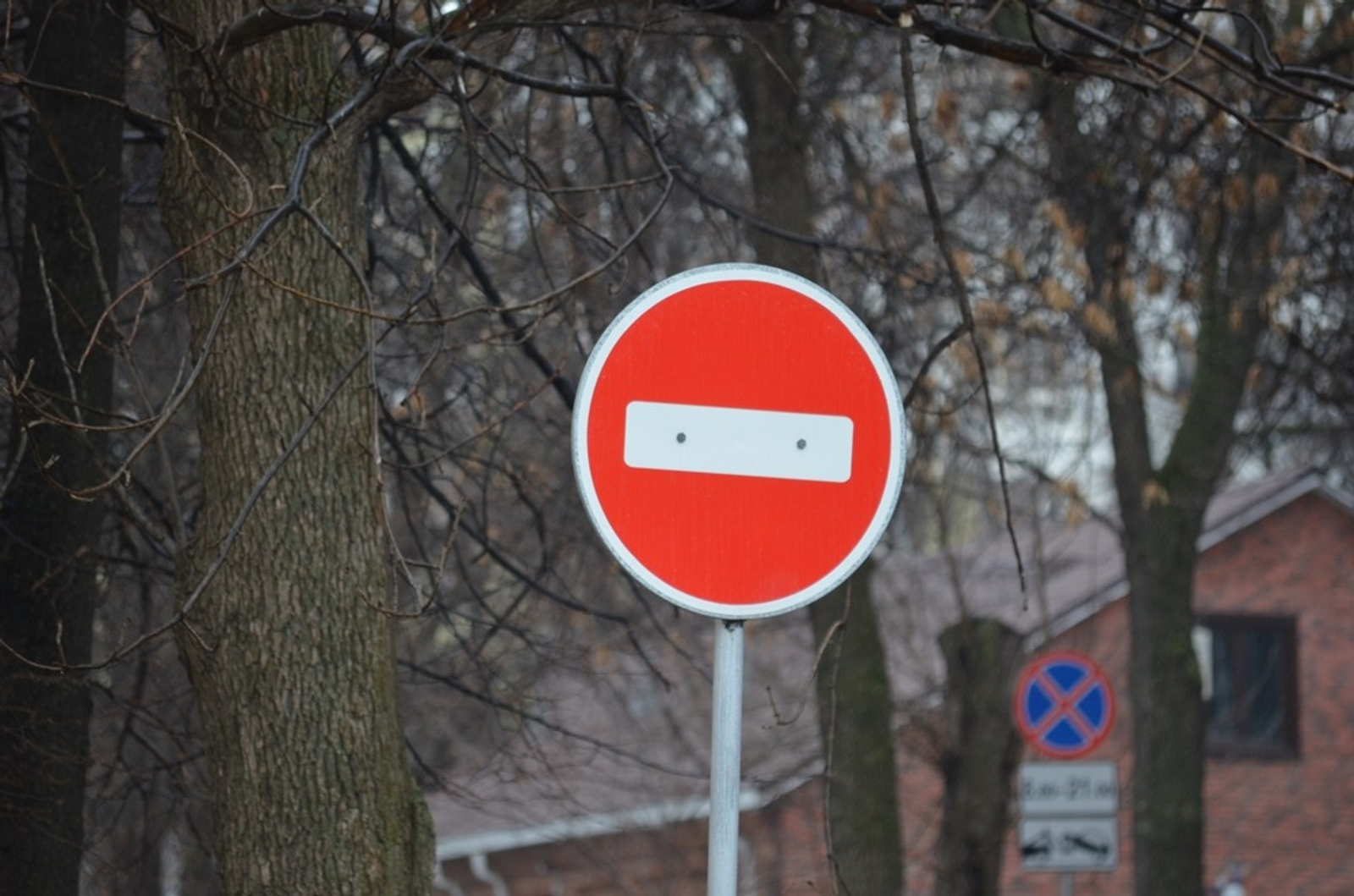 Ксения Калинина