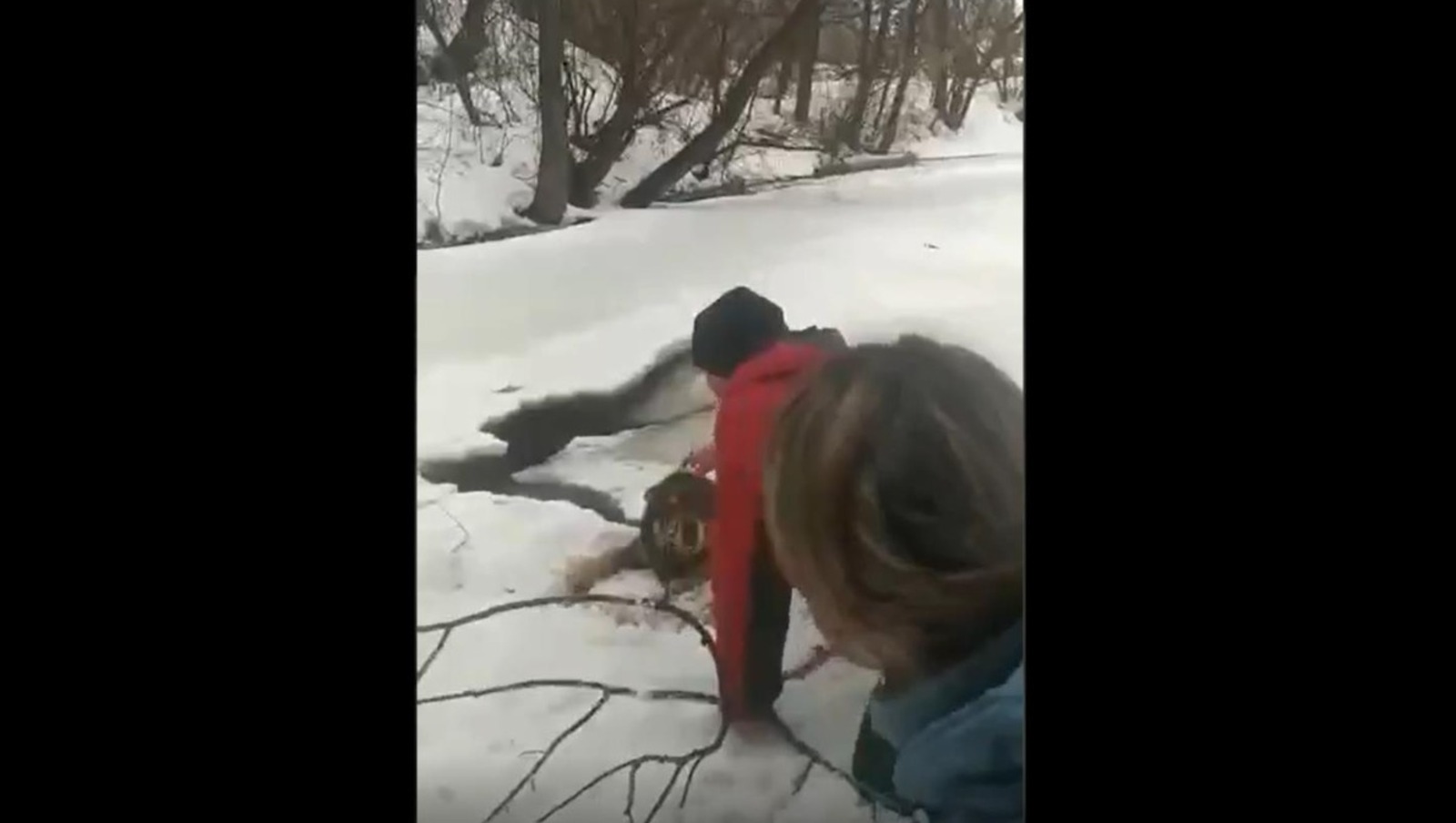 соцсети