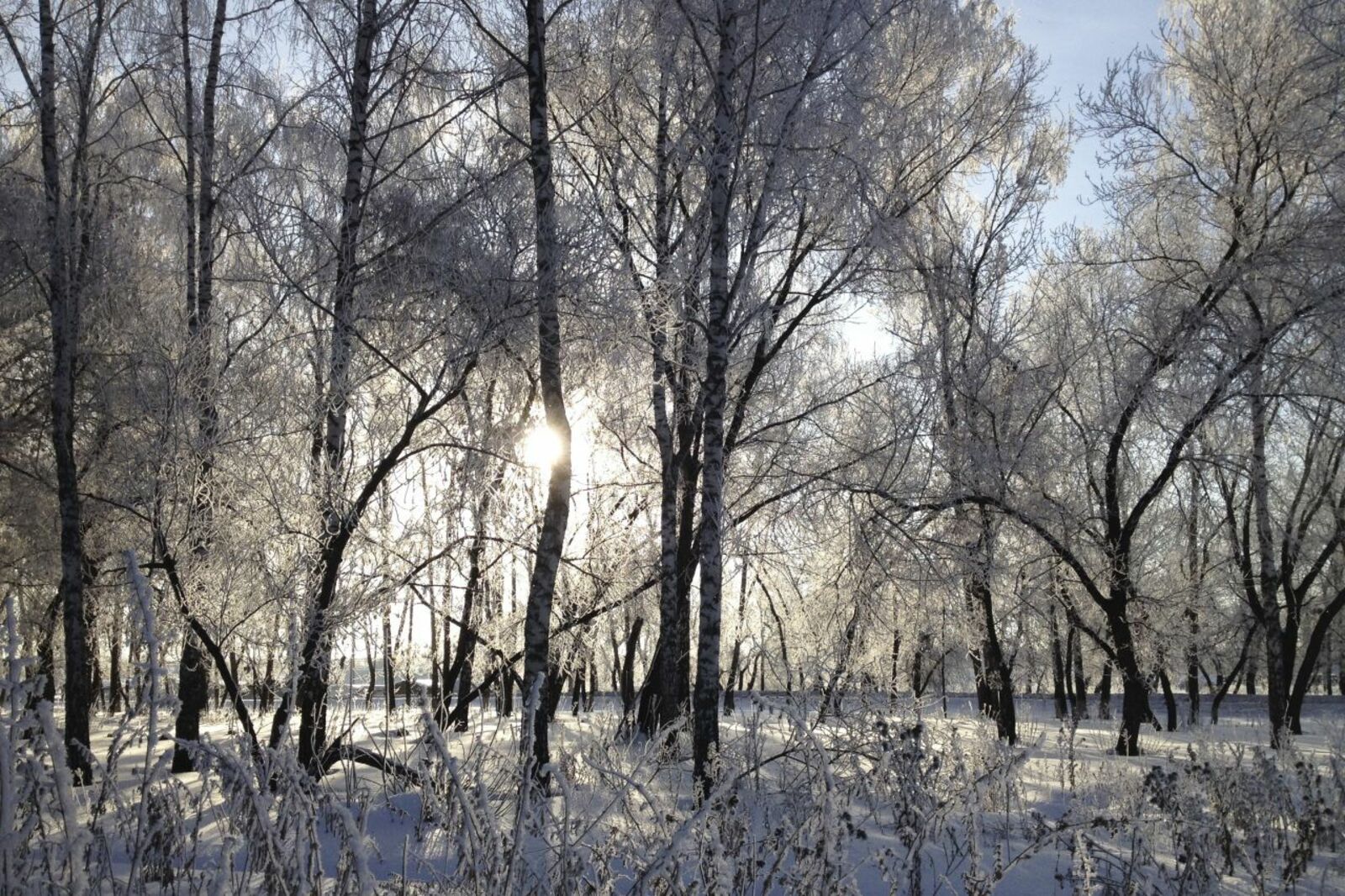 Розалия Валеева