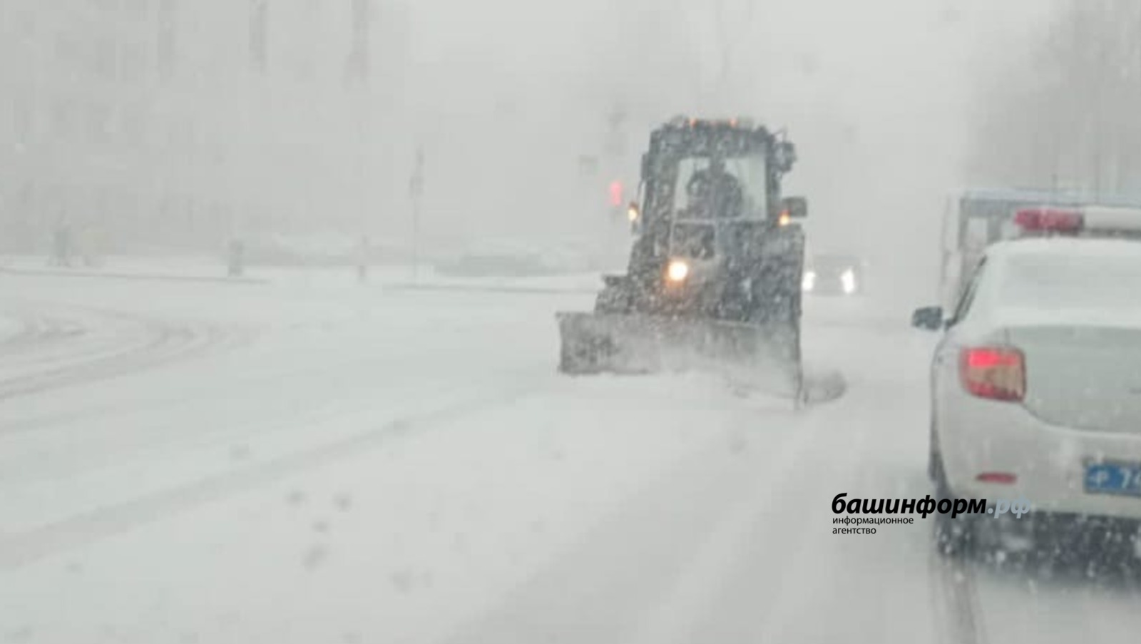 Ксения Калинина, архив