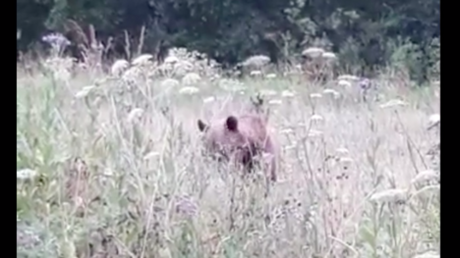 Национальный парк "Башкирия"