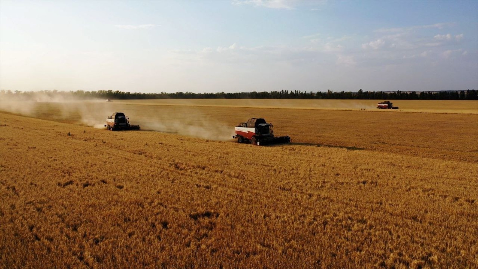 минсельхоз РБ  t.me/mcx_rb