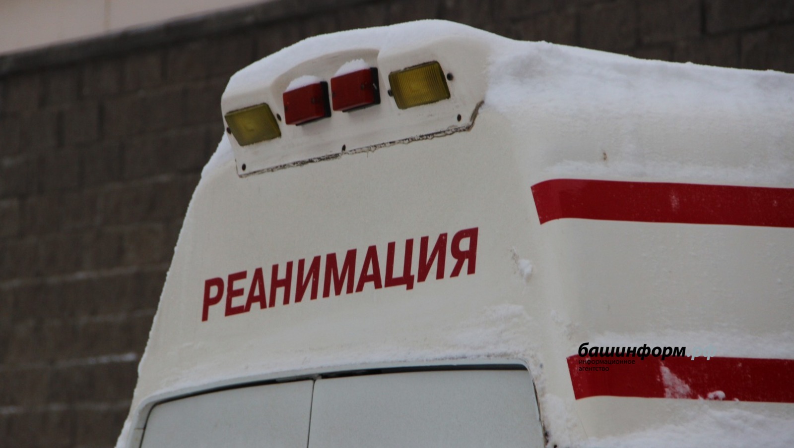 Ксения Калинина