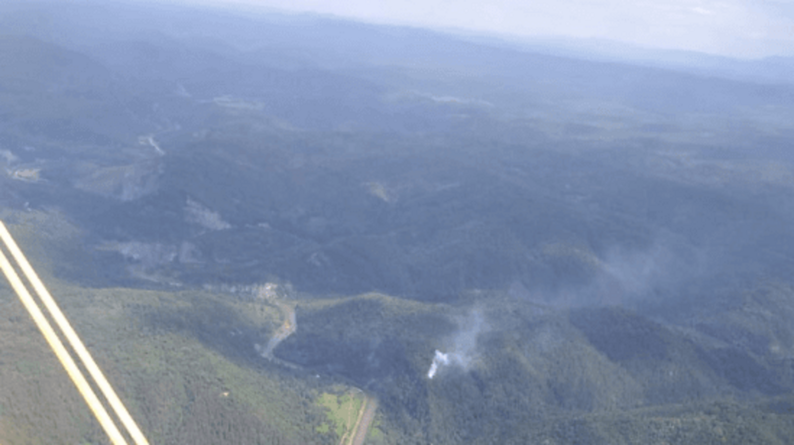 пресс-служба Минлесхоза Башкирии