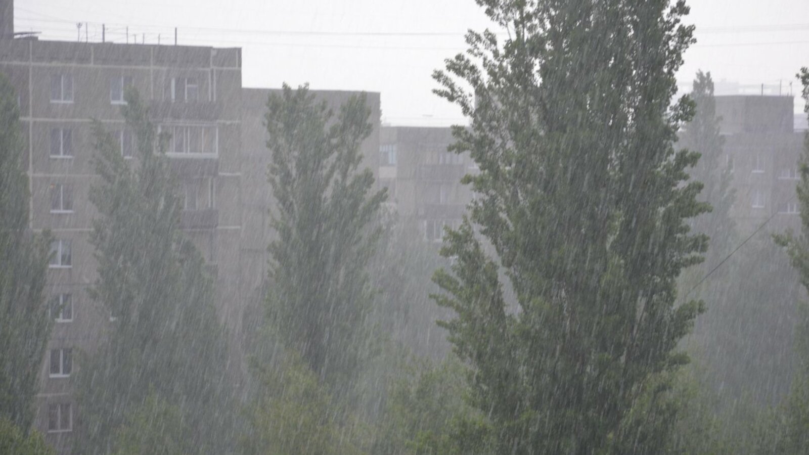 Ксения Калинина